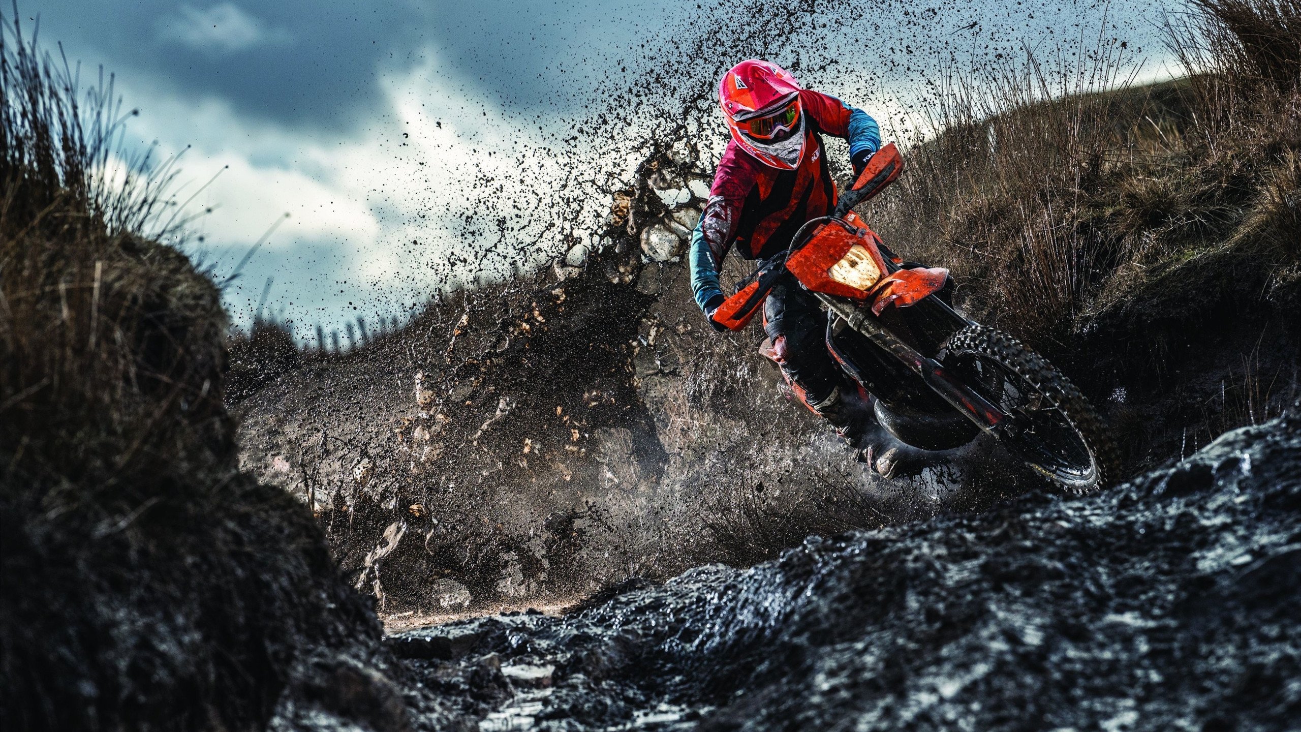 灰熊客场力克猛龙,收获关键胜利,灰熊主力队员